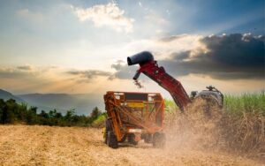 seo para agromarketing